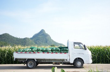 多项政策响应“消费促进年”，五菱货车家族10亿现金补贴，助力开门红！