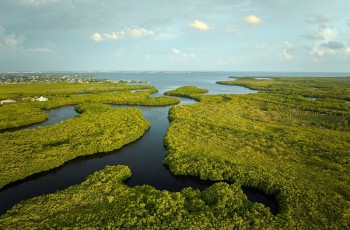 宝马发布捐赠支持生物多样性等系列企业社会责任举措