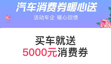 汽车消费券